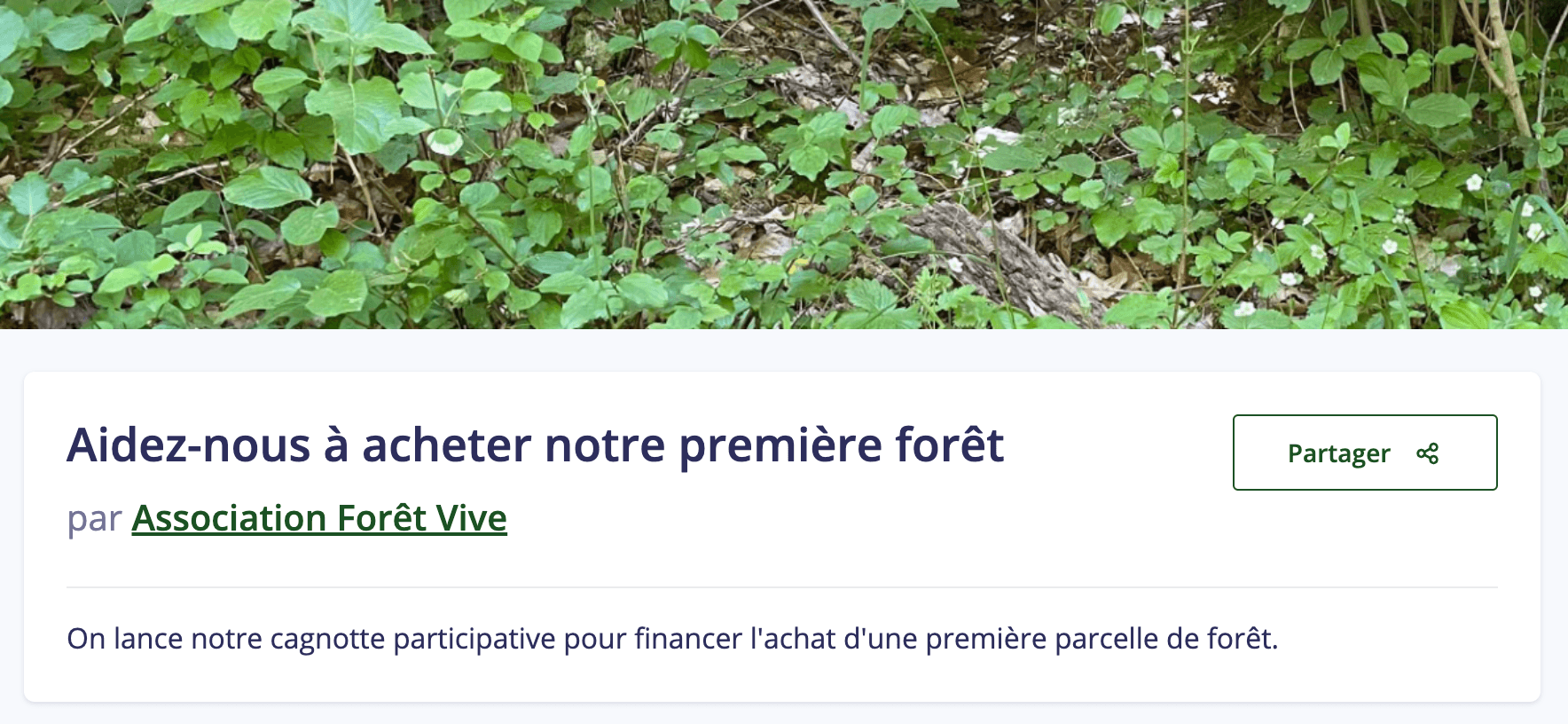 Illustration de Forêt Vive